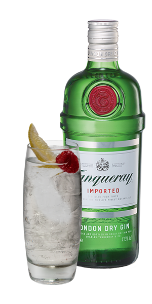 Tanqueray London Dry Gin & Tonic with Lemon and Raspberry