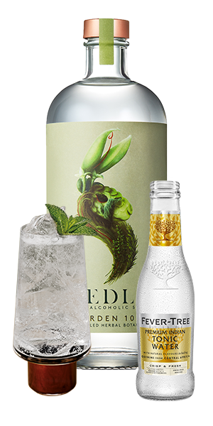 Seedlip Garden 108 & Tonic