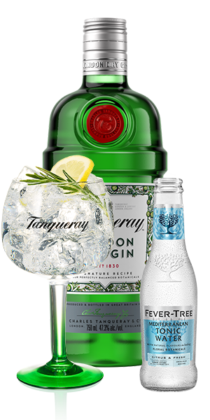 Tanqueray London Dry Gin & Tonic with Lemon and Rosemary