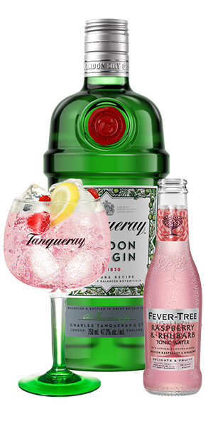 Tanqueray London Dry Gin & Tonic with Lemon and Raspberry