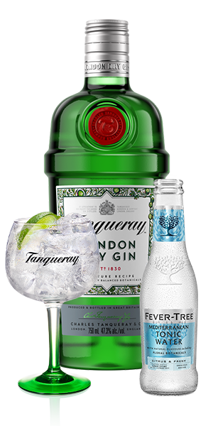 Tanqueray London Dry Gin & Tonic